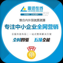 烟台雷迅网络营销 化工行业网站托管与市场推广服务指南